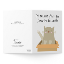 Încarcă imaginea în vizualizatorul Galerie, Felicitare pisic în cutie

